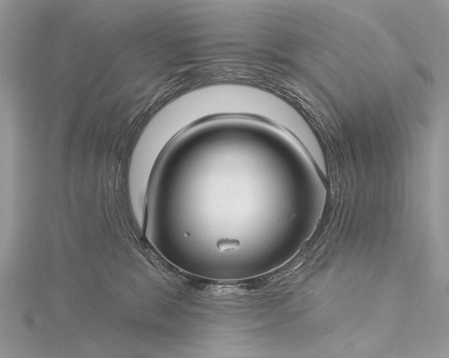 X0000115520327200911201704