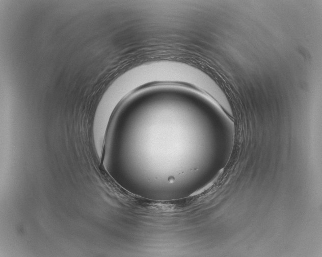 X0000115520328200911201704