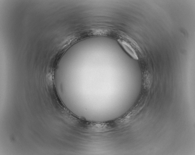 X0000115520329200911201704