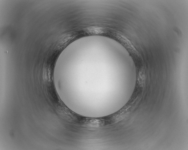 X0000115520330200911201704