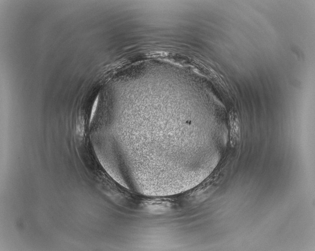 X0000115520331200911201704