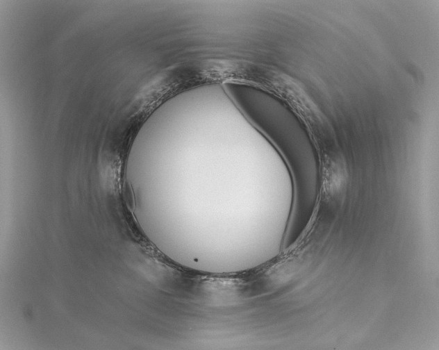 X0000115520332200911201704