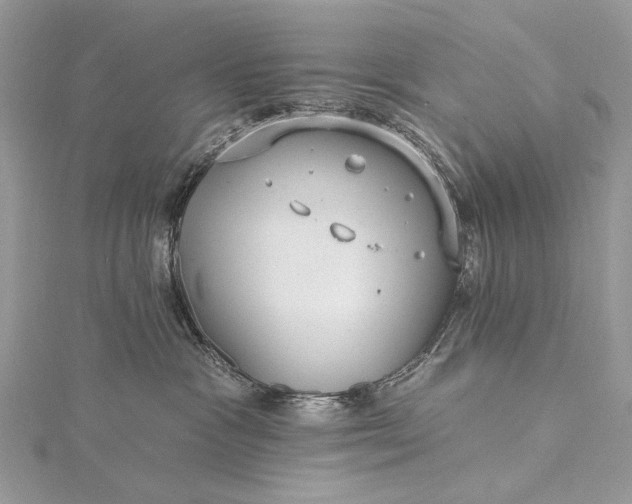 X0000115520333200911201704