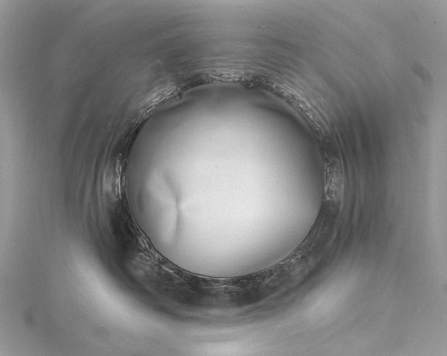 X0000115520334200911201704