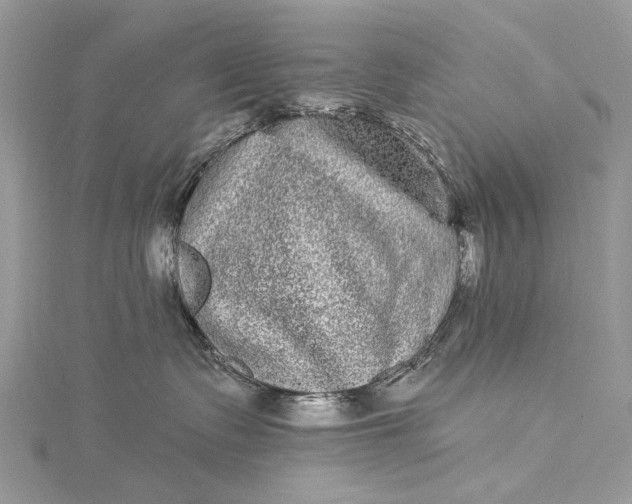 X0000115520335200911201704