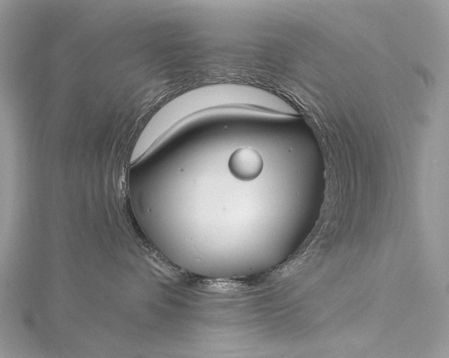 X0000115520336200911201704