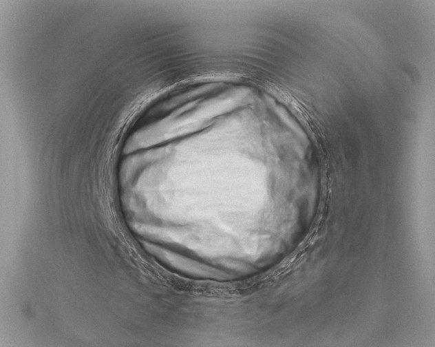 X0000115520337200911201703