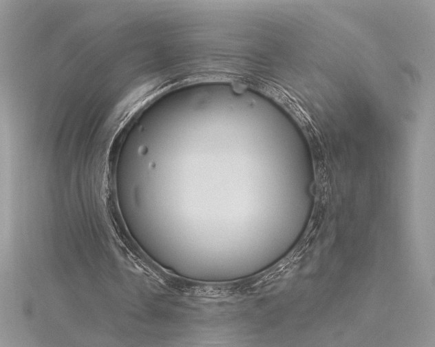 X0000115520338200911201703