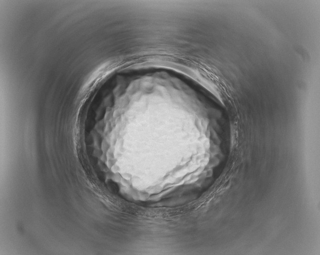 X0000115520339200911201703