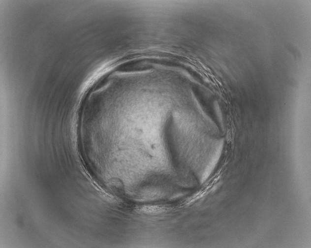 X0000115520341200911201704