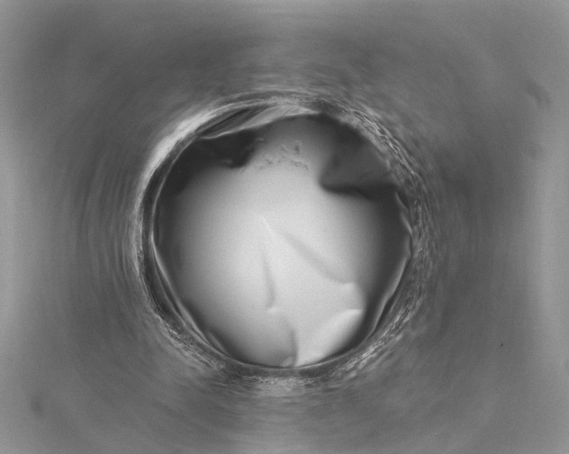 X0000115520342200911201704