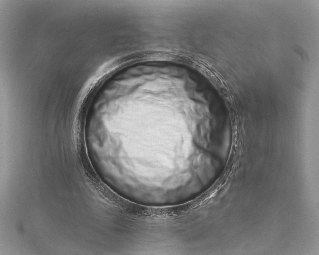 X0000115520343200911201704