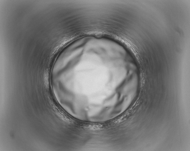 X0000115520345200911201704