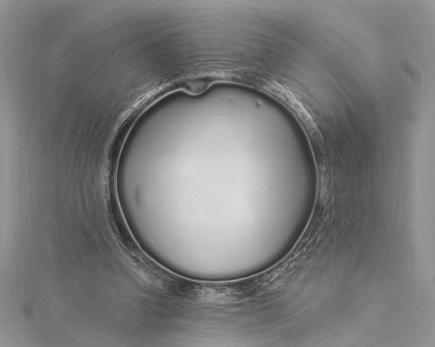 X0000115520346200911201704