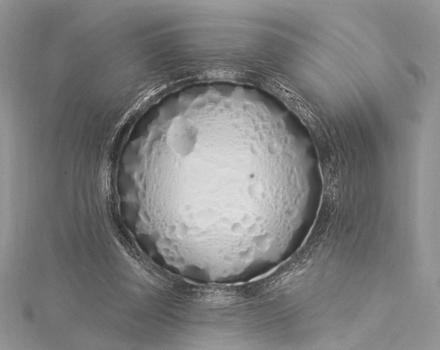 X0000115520347200911201704