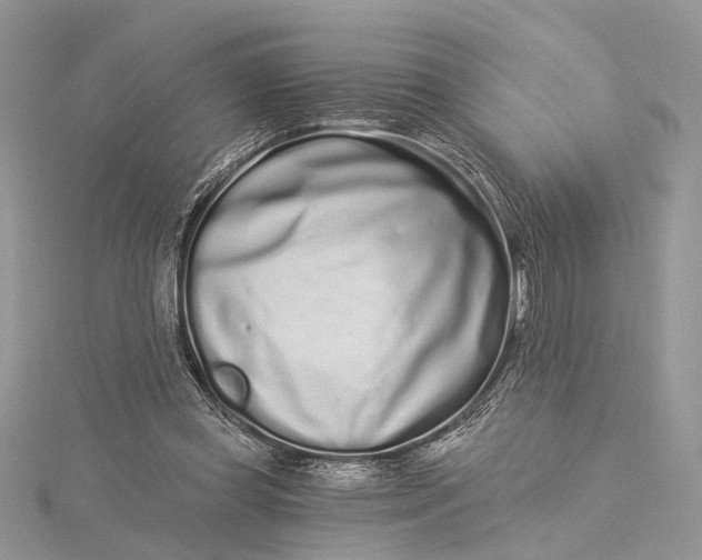 X0000115520349200911201704