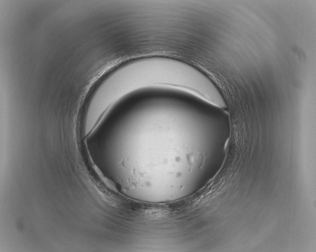 X0000115520350200911201704