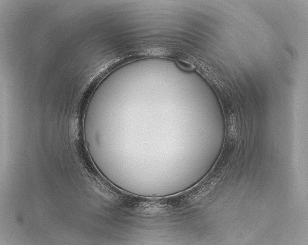 X0000115520351200911201704