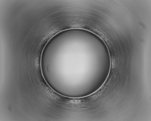 X0000115520353200911201704