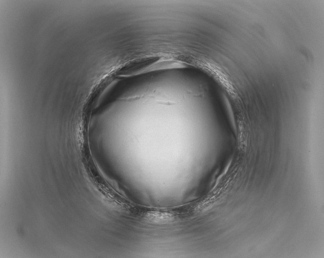 X0000115520354200911201704