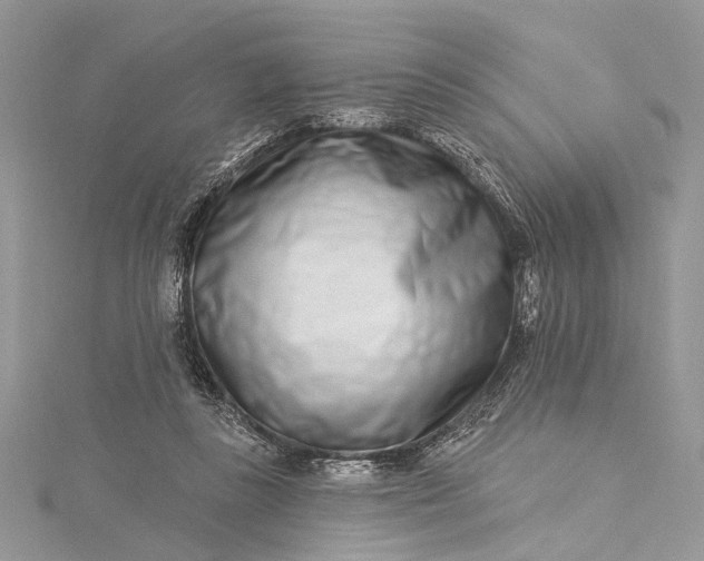 X0000115520355200911201704