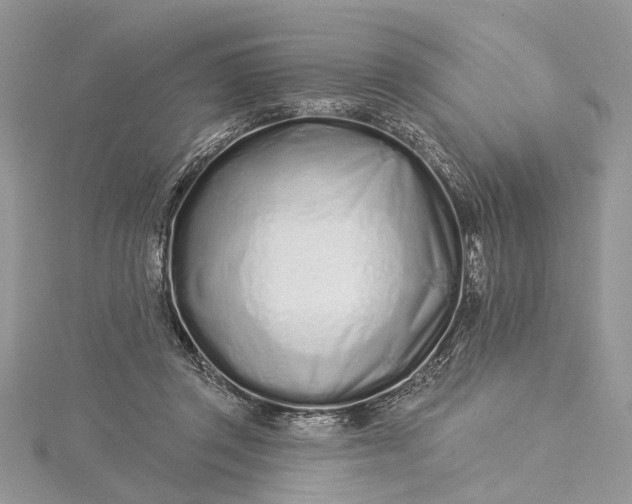 X0000115520357200911201704