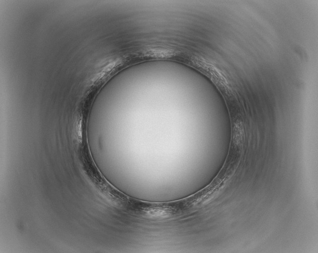 X0000115520358200911201704