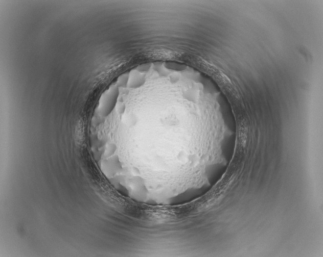 X0000115520359200911201704