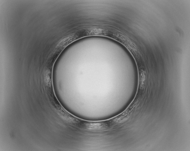 X0000115520361200911201704