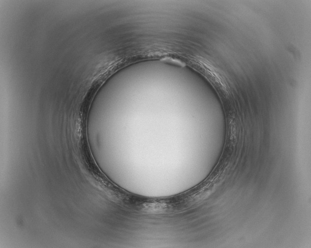 X0000115520362200911201704