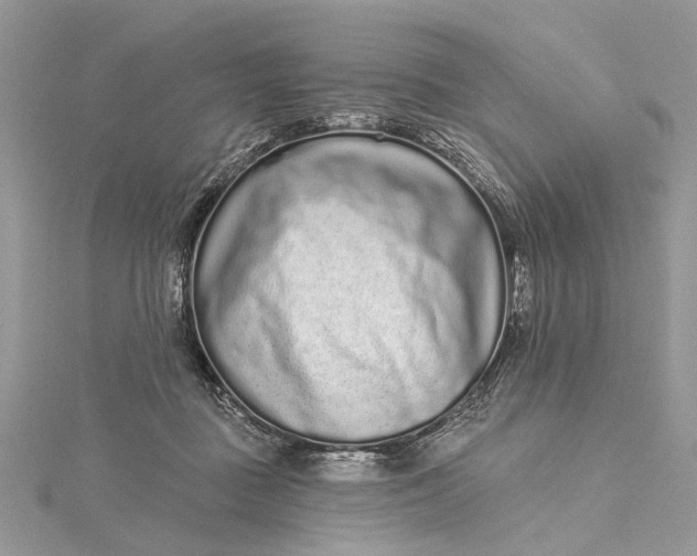 X0000115520363200911201704