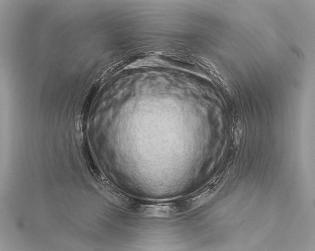 X0000115520366200911201704