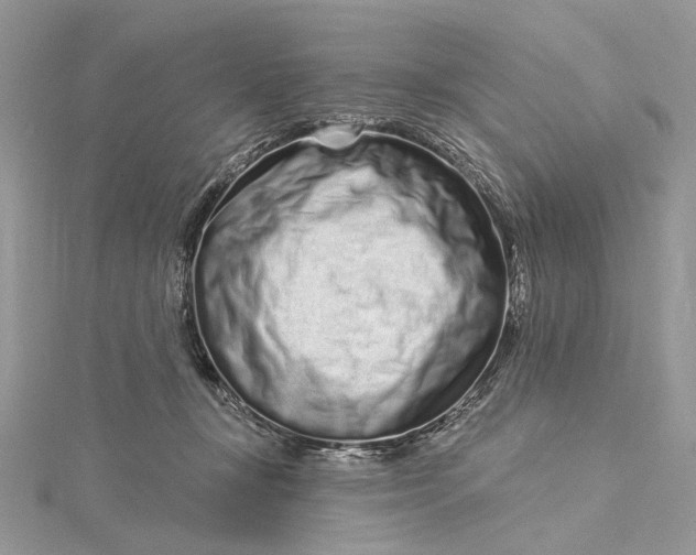 X0000115520367200911201704