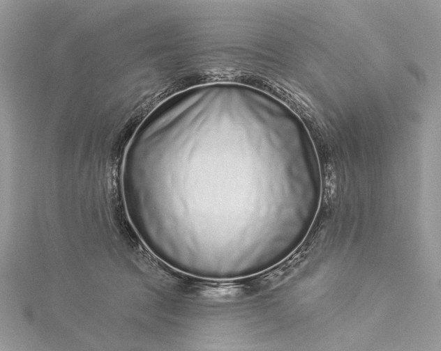 X0000115520369200911201704