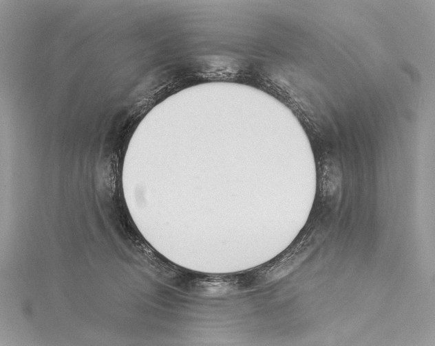 X0000115520370200911201704