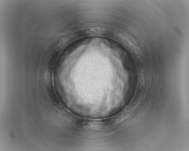 X0000115520371200911201704