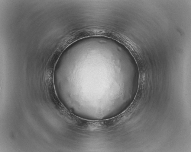 X0000115520373200911201704