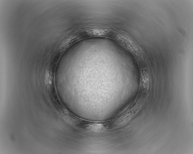 X0000115520374200911201704