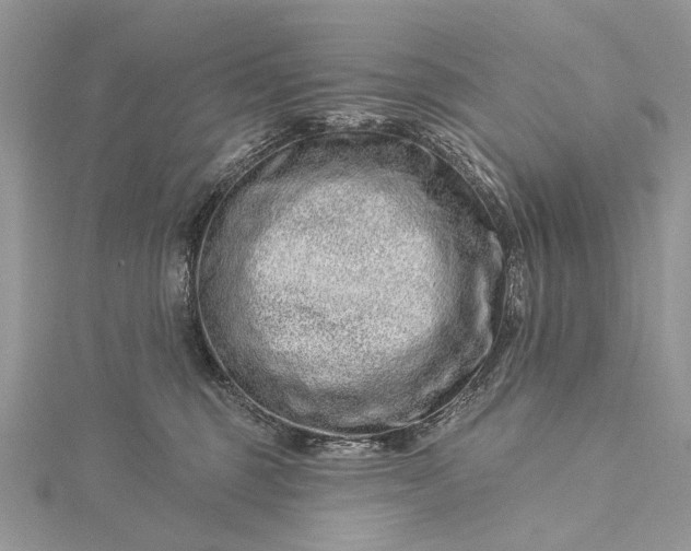 X0000115520375200911201704