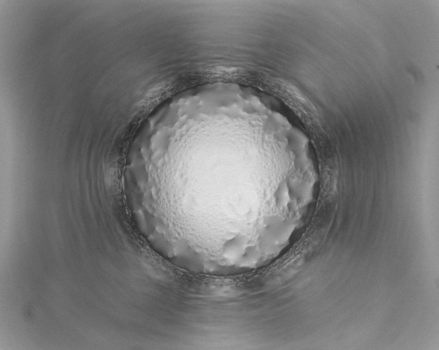 X0000115520377200911201704