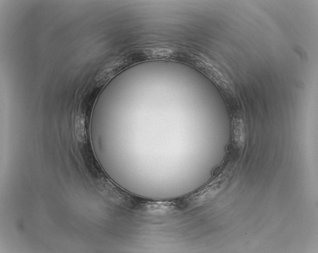 X0000115520378200911201704