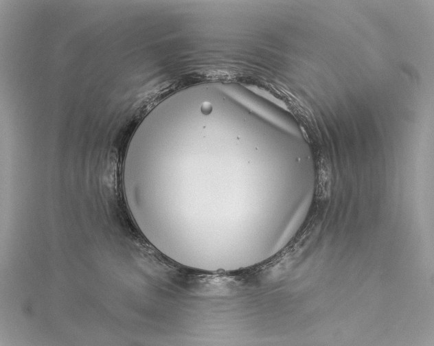 X0000115520379200911201704