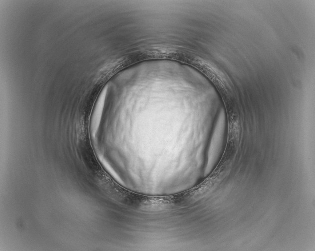 X0000115520381200911201704