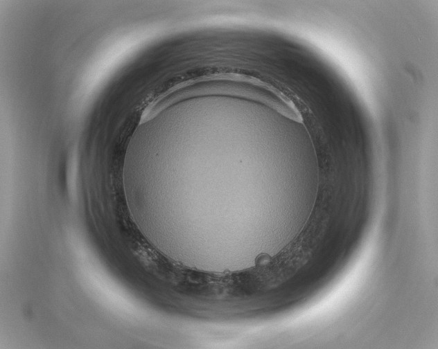 X0000115520382200911201704