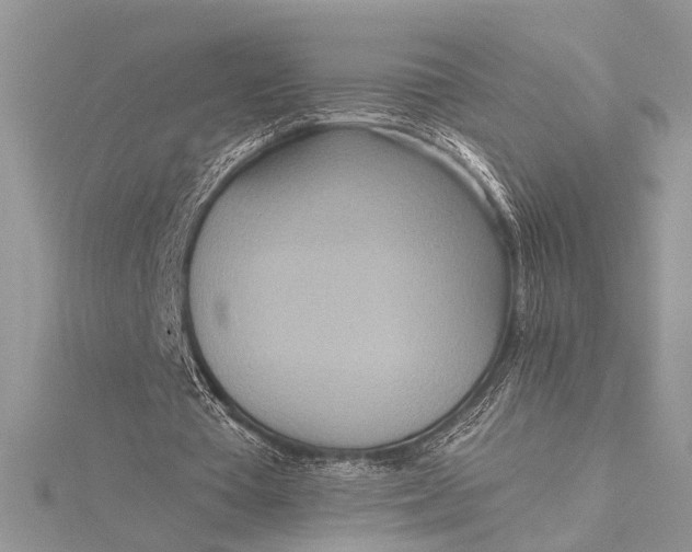 X0000115520385200911201703