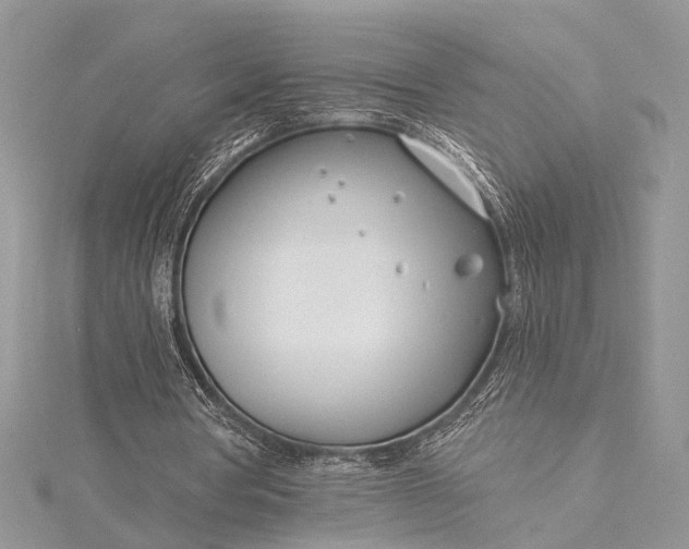 X0000115520386200911201703