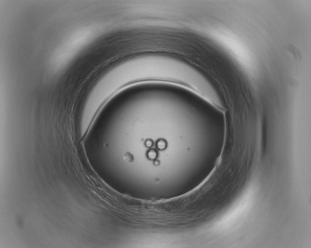 X0000115520387200911201703