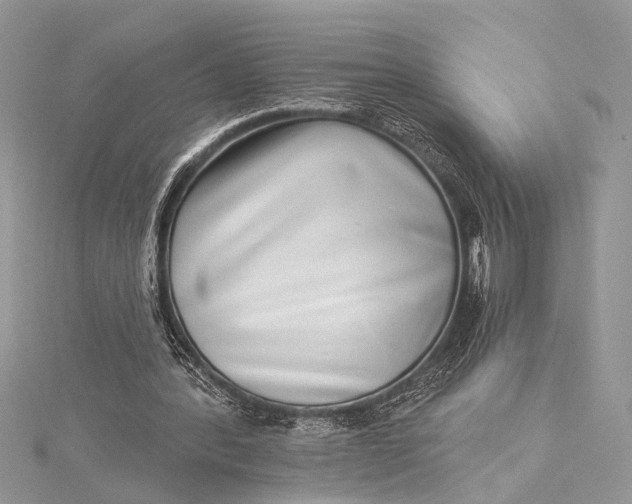 X0000115520388200911201703