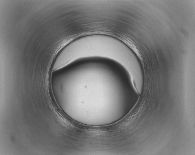 X0000115520389200911201703