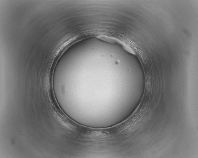 X0000115520390200911201703